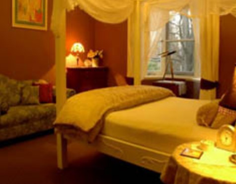 Broomelea - Darwin Holiday 2