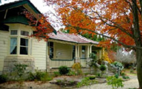 Broomelea - Darwin Holiday 3