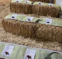 Bathurst Goldfields Accommodation - Darwin Holiday