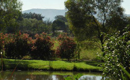 Amazing Country Escapes - Evanslea By The River - Darwin Holiday 4