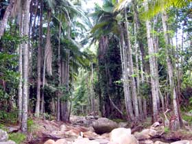 Finch Hatton Gorge Cabins - Darwin Holiday 2