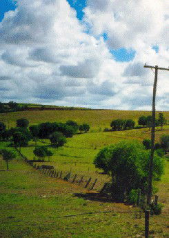 Mango Hill Cottages Bed And Breakfast - Darwin Holiday 2
