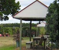 Mango Paradise Bed And Barra - Darwin Holiday 1