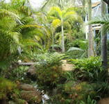 Chamomile Bed and Breakfast - Darwin Holiday