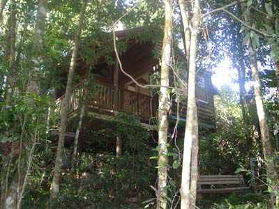 Adjinbilly Rainforest Retreat Cabins - Darwin Holiday 0