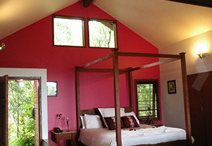 Mountain Edge Studios - Darwin Holiday 1