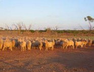 Epsilon Station - Darwin Holiday 1