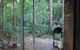 Whitewood Cottage - Bunya Mountains - thumb 0