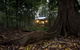 Whitewood Cottage - Bunya Mountains - thumb 5