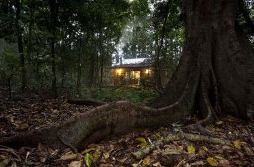 Whitewood Cottage - Bunya Mountains - Darwin Holiday 5