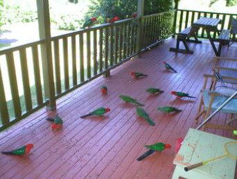A Little Bit Of Heaven - Holiday Home - Darwin Holiday 8