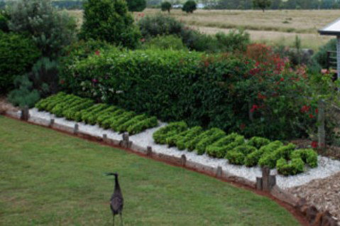 Mulanah Gardens Bed And Breakfast Cottages - Darwin Holiday 5