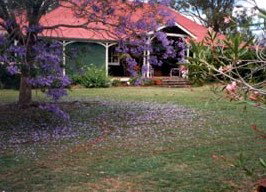 Minmore Farmstay Bed And Breakfast - Darwin Holiday 0