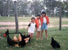 Minmore Farmstay Bed And Breakfast - Darwin Holiday 1