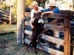 Minmore Farmstay Bed And Breakfast - Darwin Holiday 2