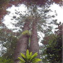 Aubigny ACT Darwin Holiday