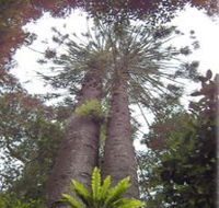 Moorlands Country Retreat - Darwin Holiday