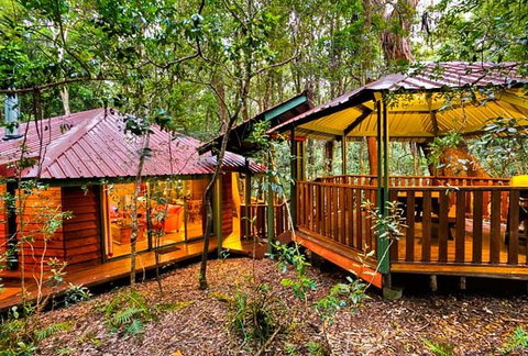 The Mouses House - Rainforest Retreat - Darwin Holiday 4