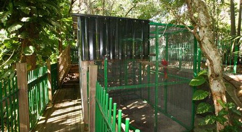 Ashmore Palms Holiday Village - Darwin Holiday 3