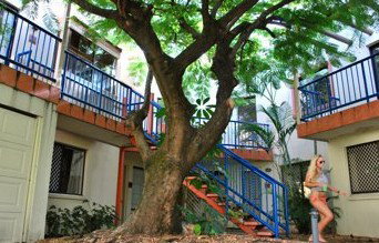 Sleeping Inn Backpackers Resort - Darwin Holiday 0