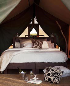 Sal Salis Ningaloo Reef - Darwin Holiday 0