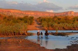 Home Valley Station - Darwin Holiday 2