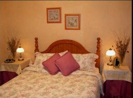 Rosellas At Canyon Lookout - Darwin Holiday 0