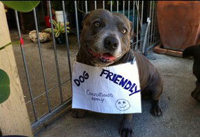 Dreamtime Caravan Park - Darwin Holiday 1