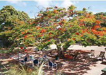 Barnacles Backpackers - Darwin Holiday 1