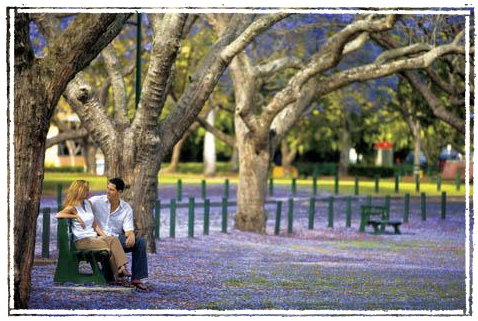 Kirkland House B&B - Darwin Holiday 3