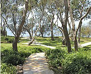 Beachmere Lions Caravan Park - Darwin Holiday 2