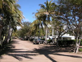 Alva Beach Tourist Park - Darwin Holiday 0
