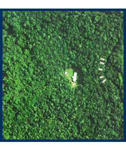 The Canopy Treehouses - Darwin Holiday 2