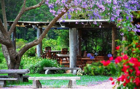 Bago Vineyards - Darwin Holiday 1