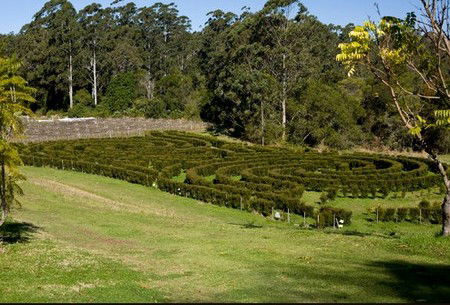 Bago Vineyards - Darwin Holiday 2