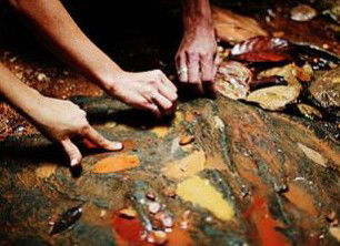 Daintree Eco Lodge And Spa - Darwin Holiday 0