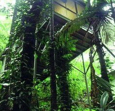 Daintree Eco Lodge And Spa - Darwin Holiday 1