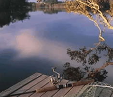 Jacaranda Country Lodge - Darwin Holiday 4