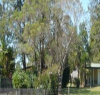 Nimbin Backpackers at Grannys Farm