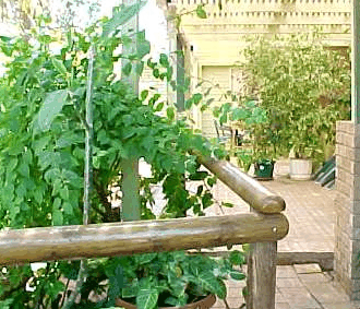 Denham Villas - Darwin Holiday 1