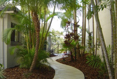 Myuna Holiday Apartments - Darwin Holiday 2