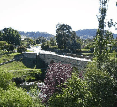 Millhouse On The Bridge - Darwin Holiday 0