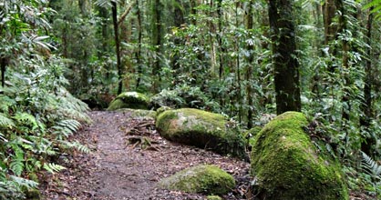 Hillside Bed & Breakfast - Darwin Holiday 2