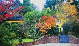 Moniques Bed And Breakfast - Darwin Holiday 3