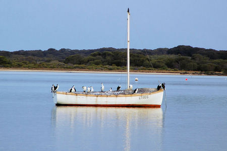 Riverview Cottage - Darwin Holiday 1