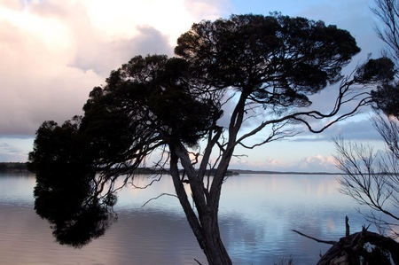 Riverview Cottage - Darwin Holiday 4