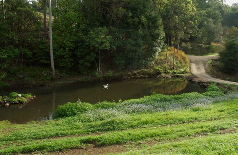 Wattle Gully Retreat - Darwin Holiday 4