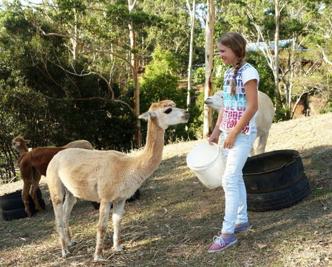Wattle Gully Retreat - Darwin Holiday 5