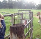 Boronia Farm Farmstay - Darwin Holiday