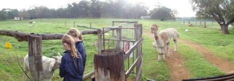 Boronia Farm Farmstay - Darwin Holiday 0